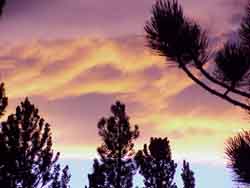 Orange clouds at sunset.