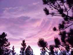 Purple clouds at sunset.